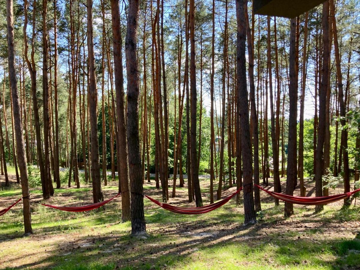 Inowlodz Gora Spokoju Osada Klimatyczna-Lesna מראה חיצוני תמונה